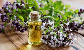 wellhealthorganic.com:health-benefits-and-side-effects-of-oil-of-oregano
